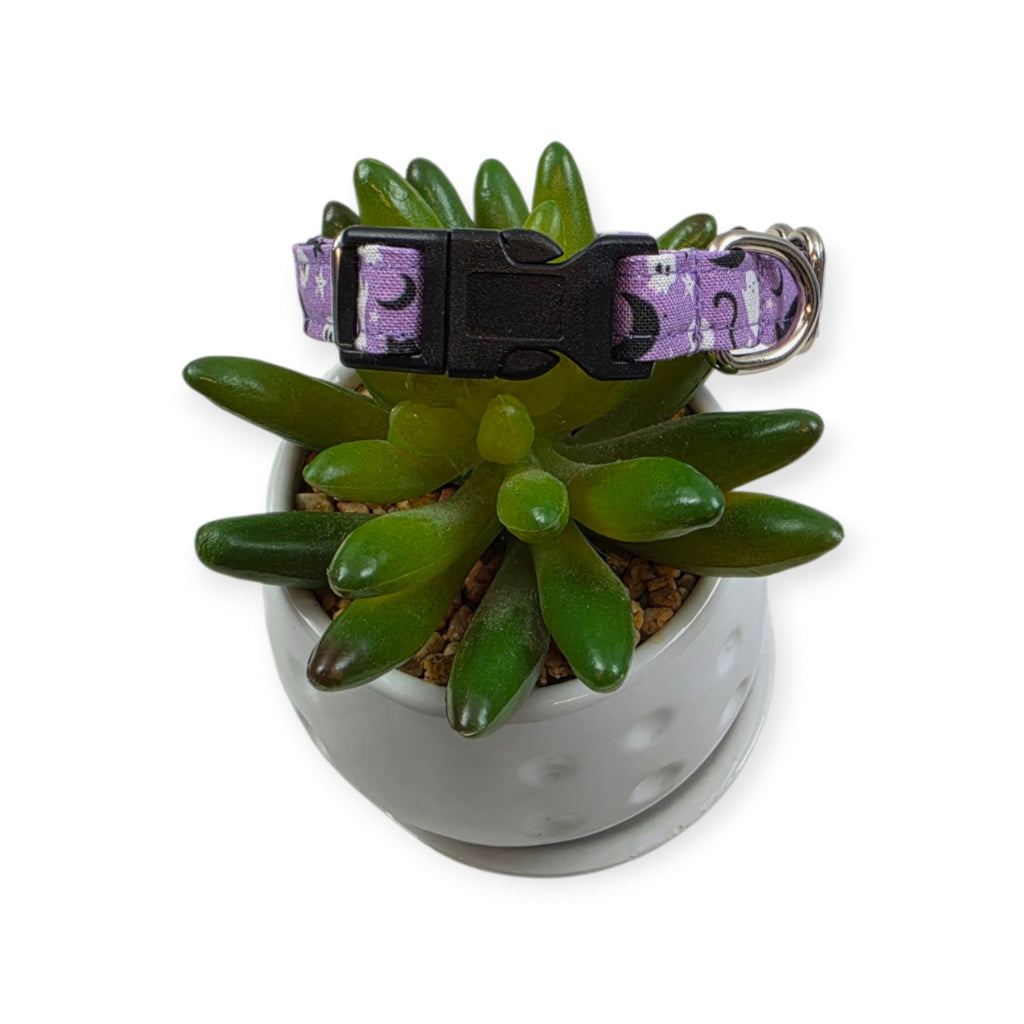 Halloween Cats and Ghosts  Dog Collar (XX-Small)