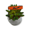 Bats on Orange Kitty Collar (XX-Small)