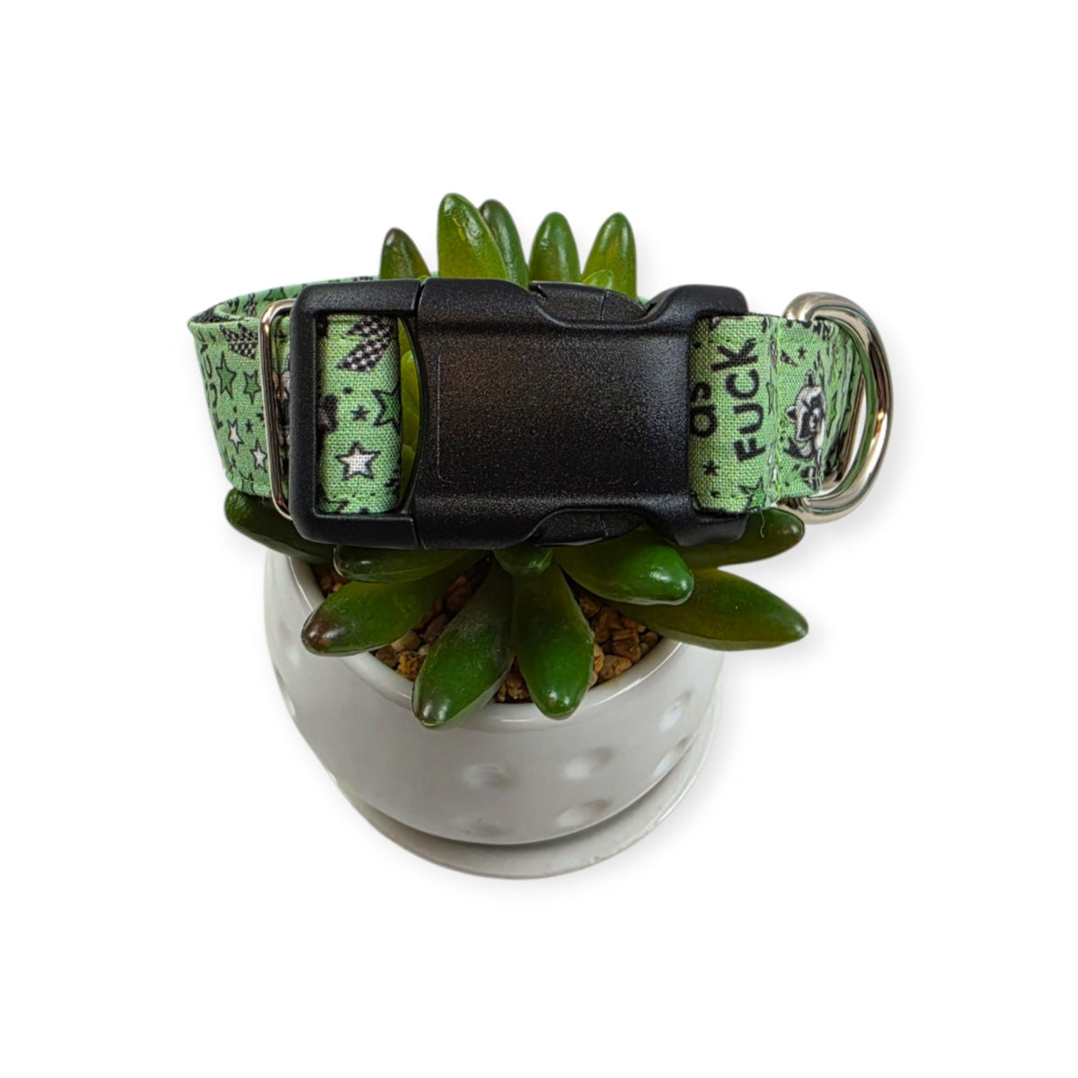 Feral as Fuck Dog Collar (Medium, 1" wide)