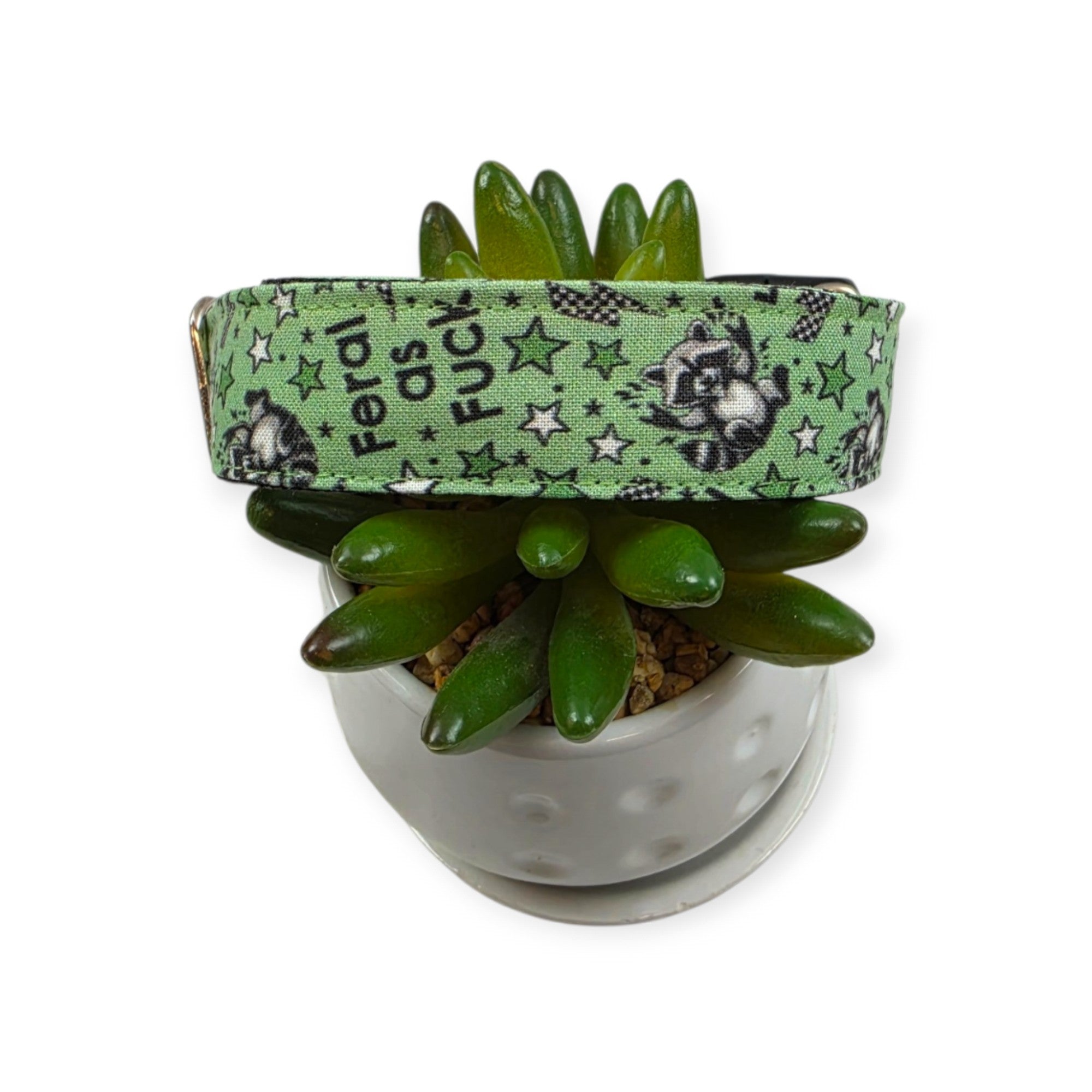 Feral as Fuck Dog Collar (Medium, 1" wide)