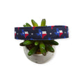 Texas State Flag Dog Collar (Large)