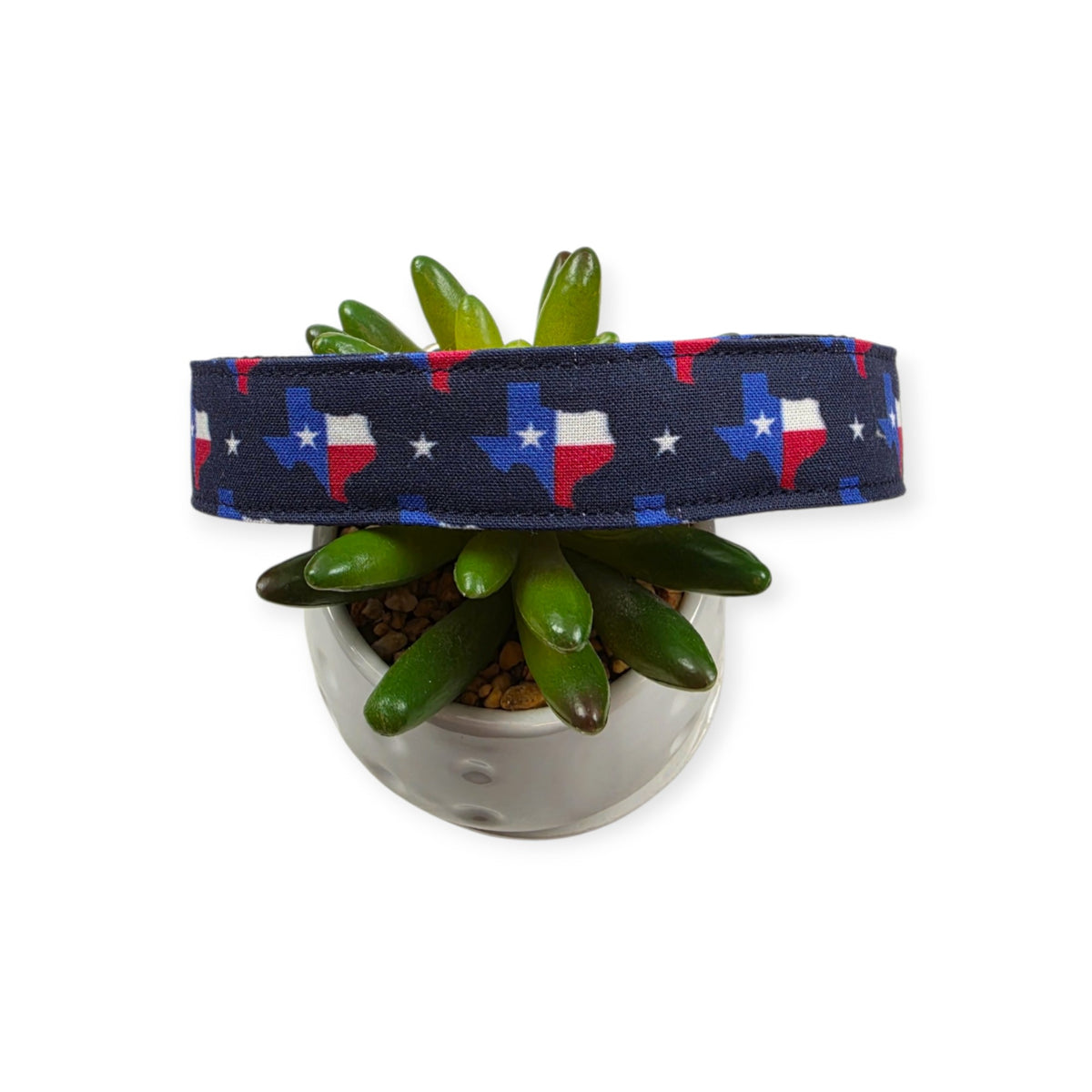 Texas State Flag Dog Collar (Large)