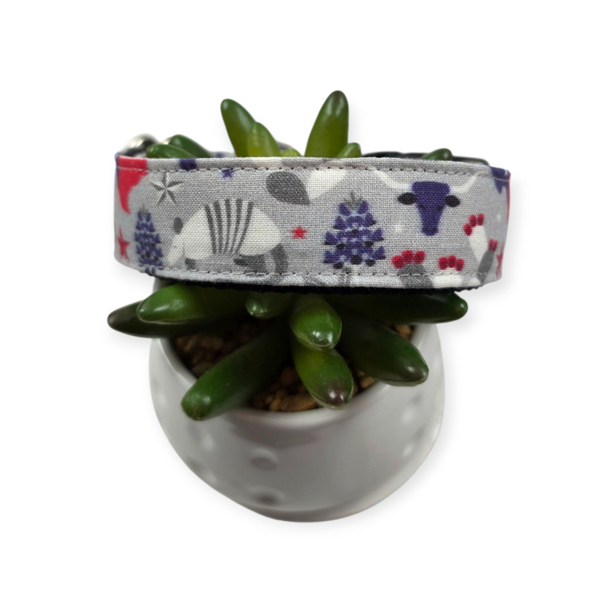 Symbols of Texas Dog collar (Medium, 1" wide)