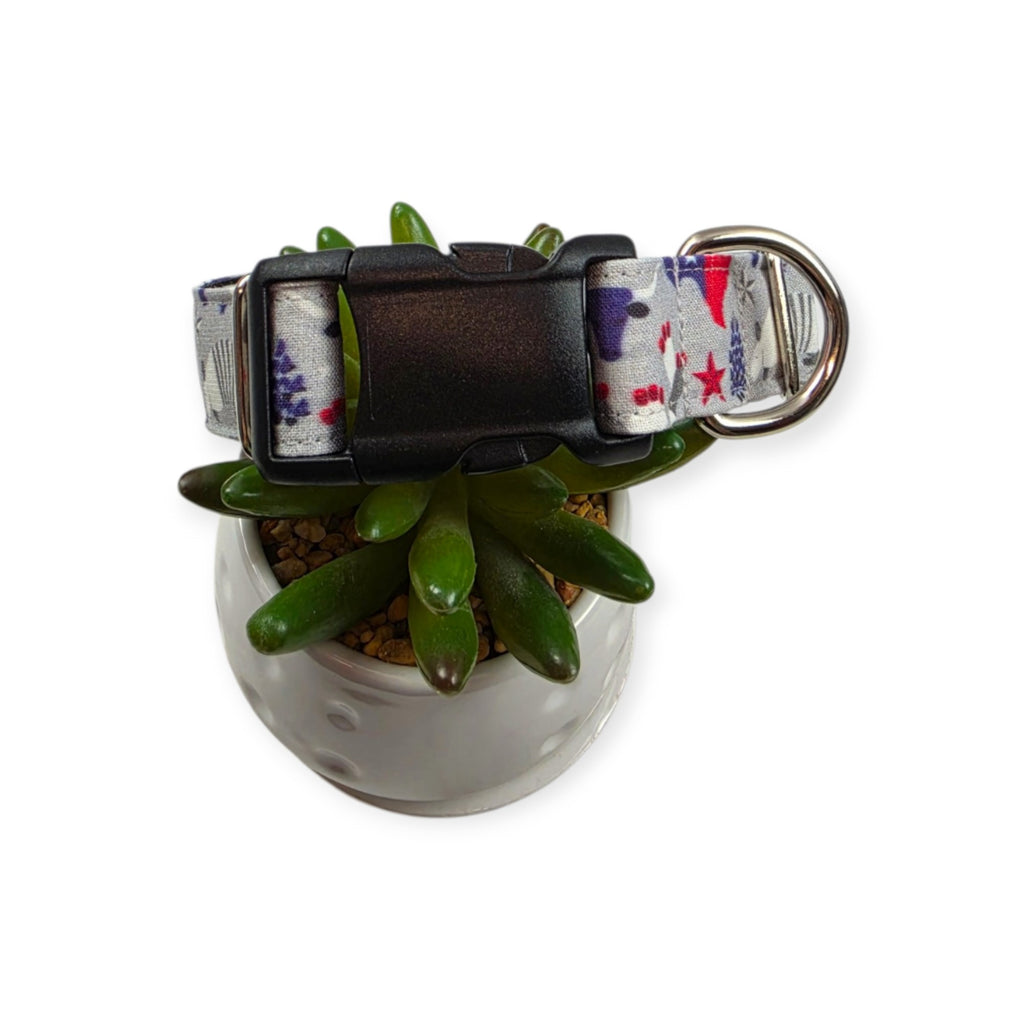 Symbols of Texas Dog Collar (Large)