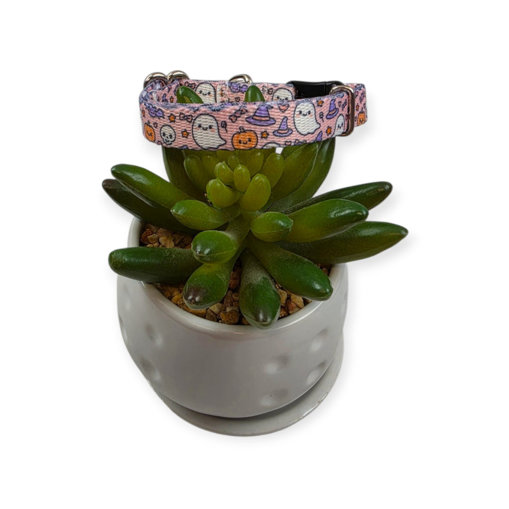 Boo Bash Dog Collar (XX-Small)
