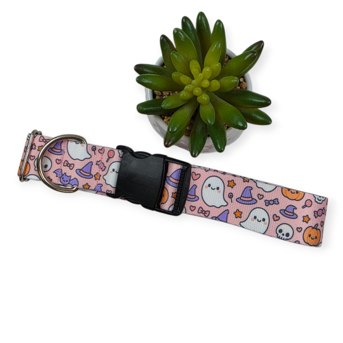 Boo Bash Dog Collar (XX-Large, 1.5" wide)