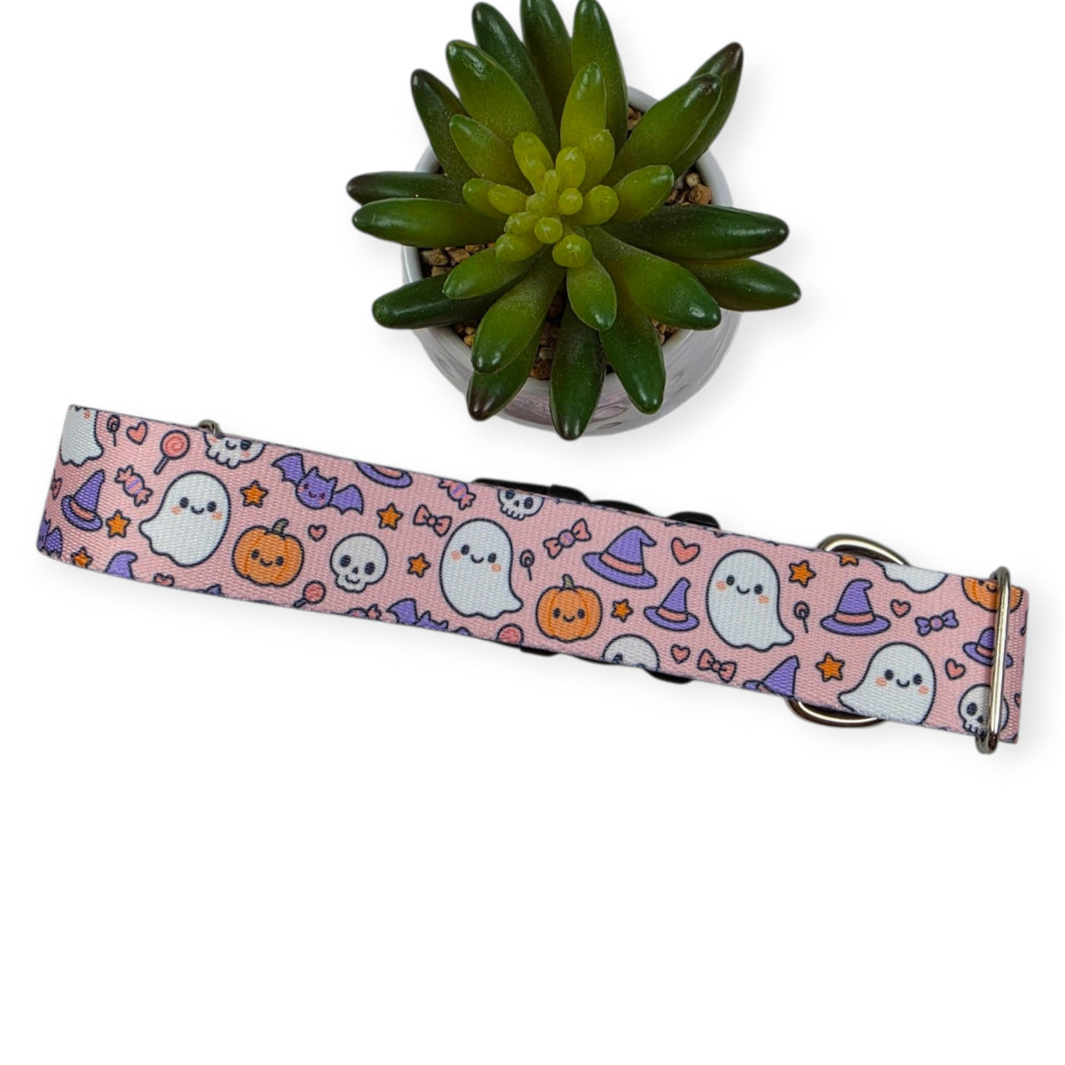 Boo Bash Dog Collar (XX-Large, 1.5" wide)