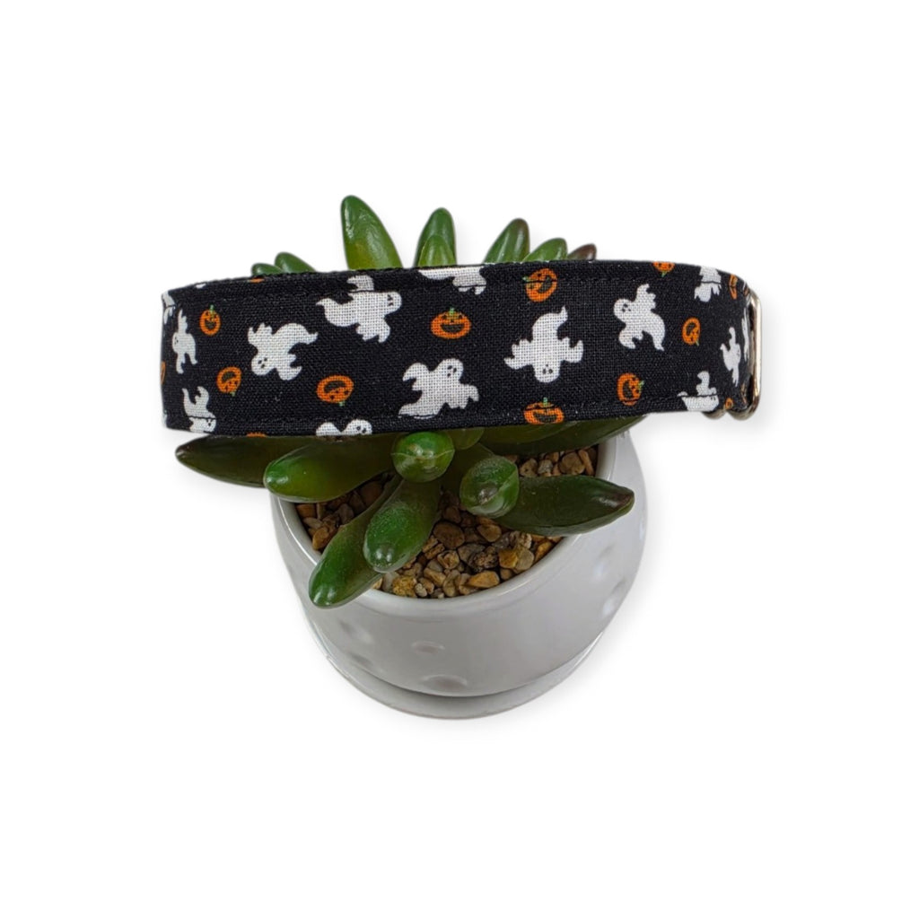 Ghosts & Pumpkins Dog Collar (Large)