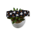 Ghosts & Pumpkins Dog Collar (Large)