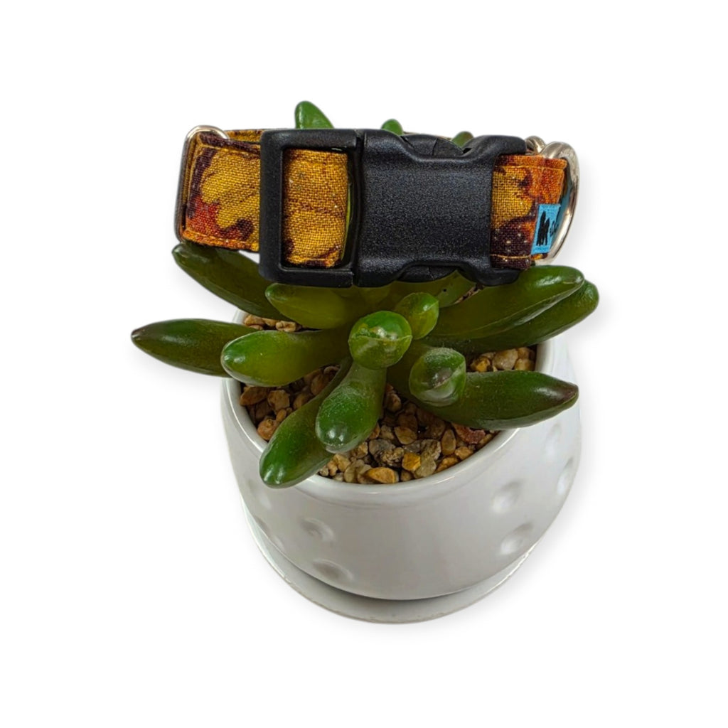Fall Leaves Dog Collar (Small, 3/4" wide)