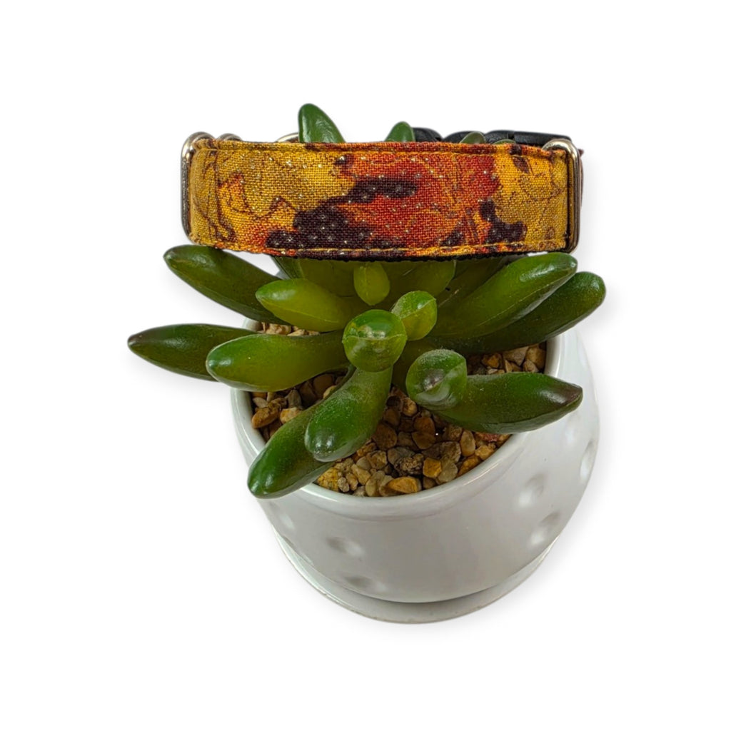 Fall Leaves Dog Collar (Small, 3/4" wide)