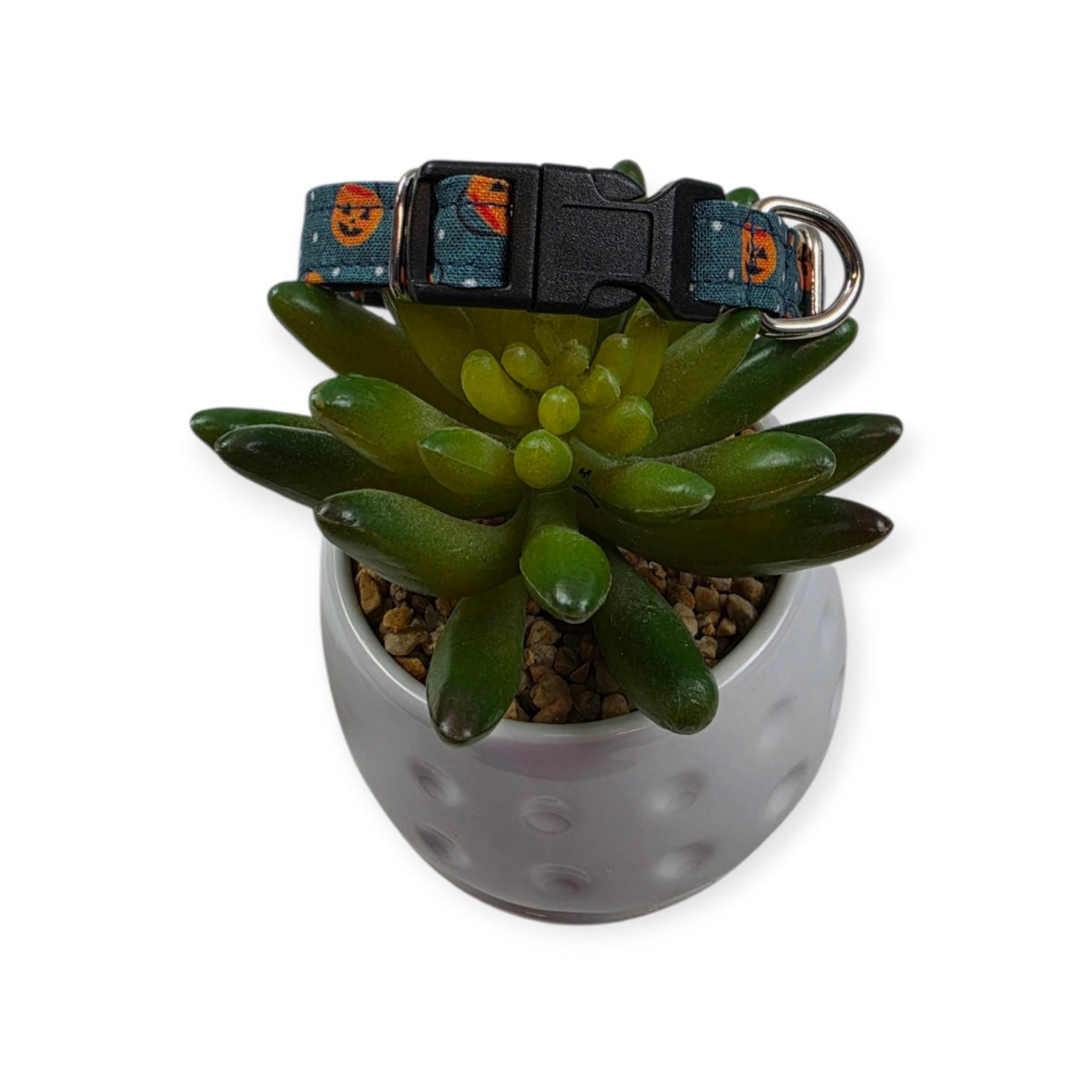 Halloween Buckets Dog Collar (XX-Small)