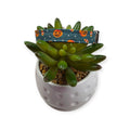 Halloween Buckets Dog Collar (XX-Small)