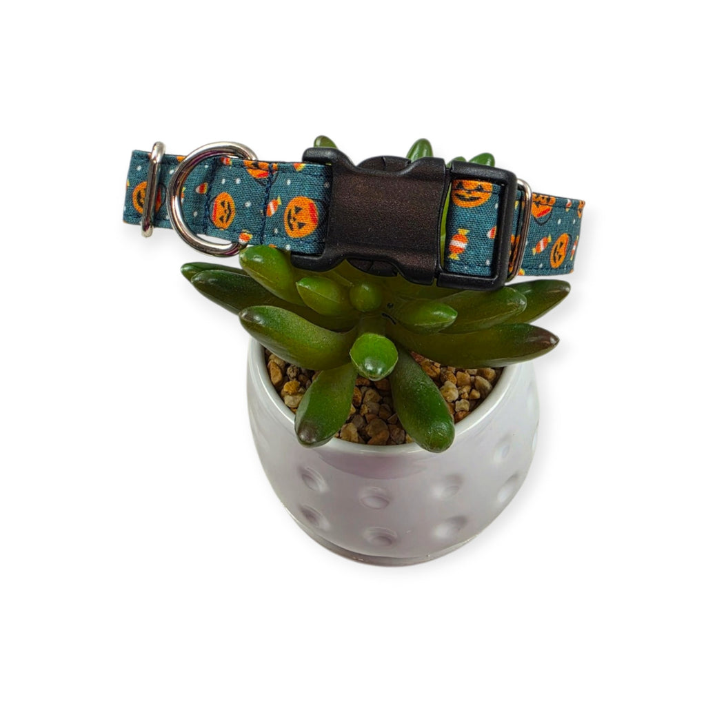 Halloween Buckets Dog Collar (Medium)