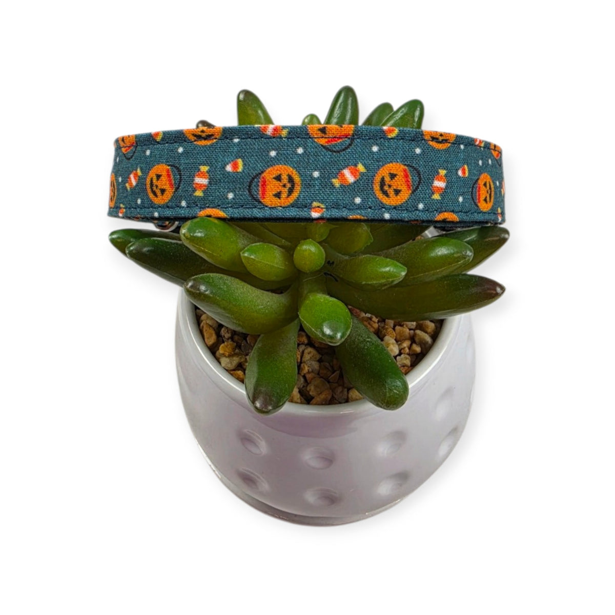Halloween Buckets Dog Collar (Medium)