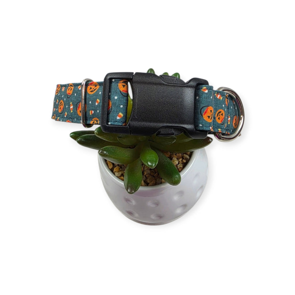 Halloween Buckets Dog Collar (Large)