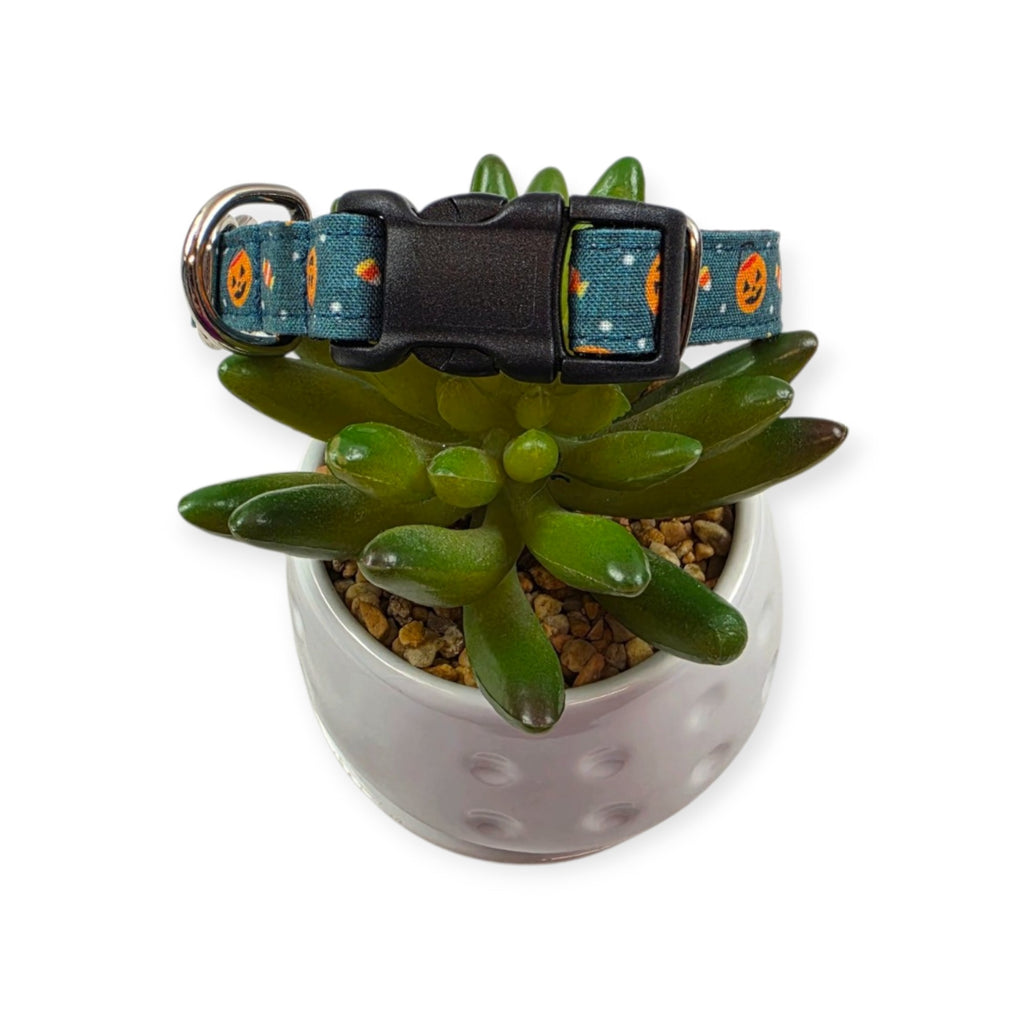 Halloween Buckets Dog Collar (Small)