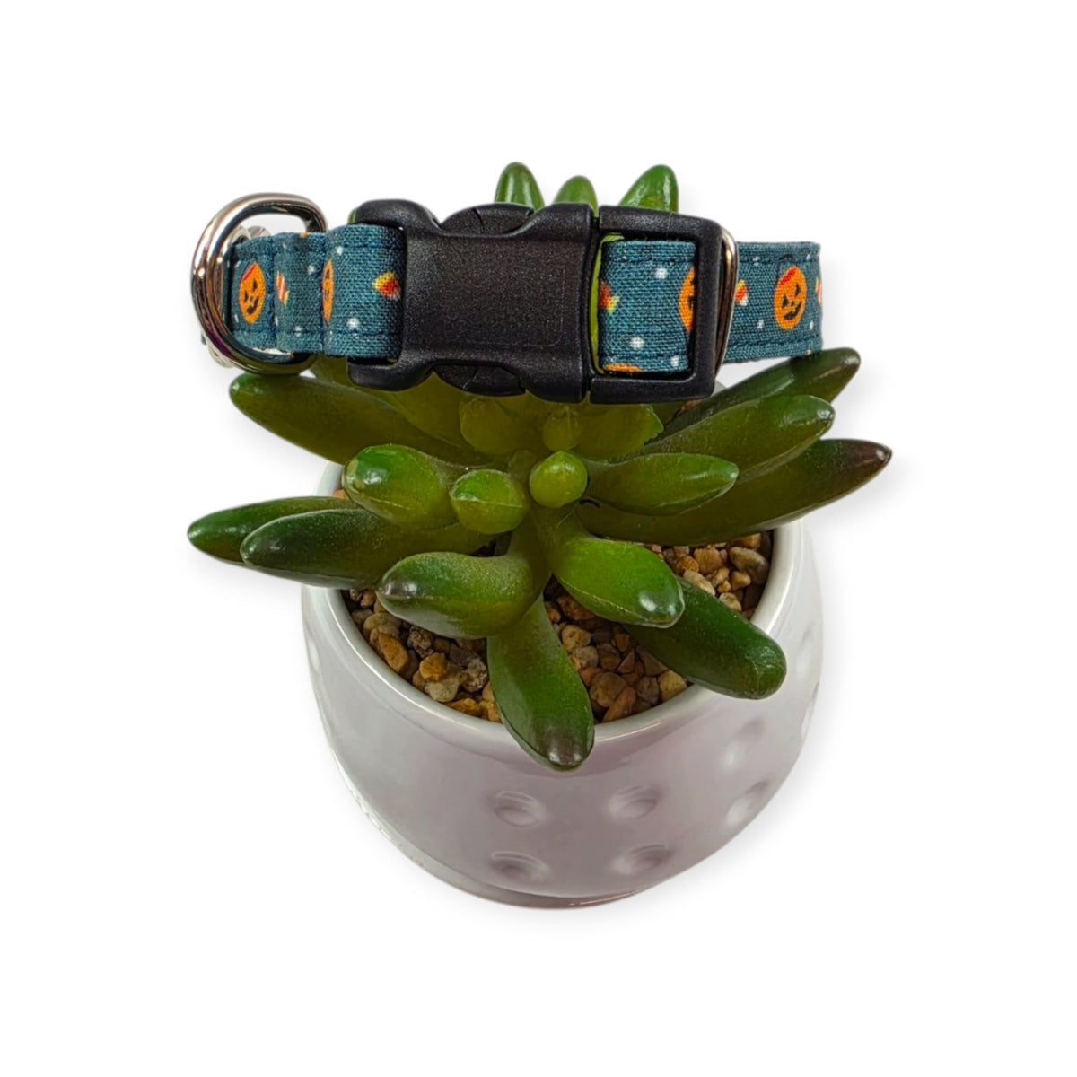 Halloween Buckets Dog Collar (Small)