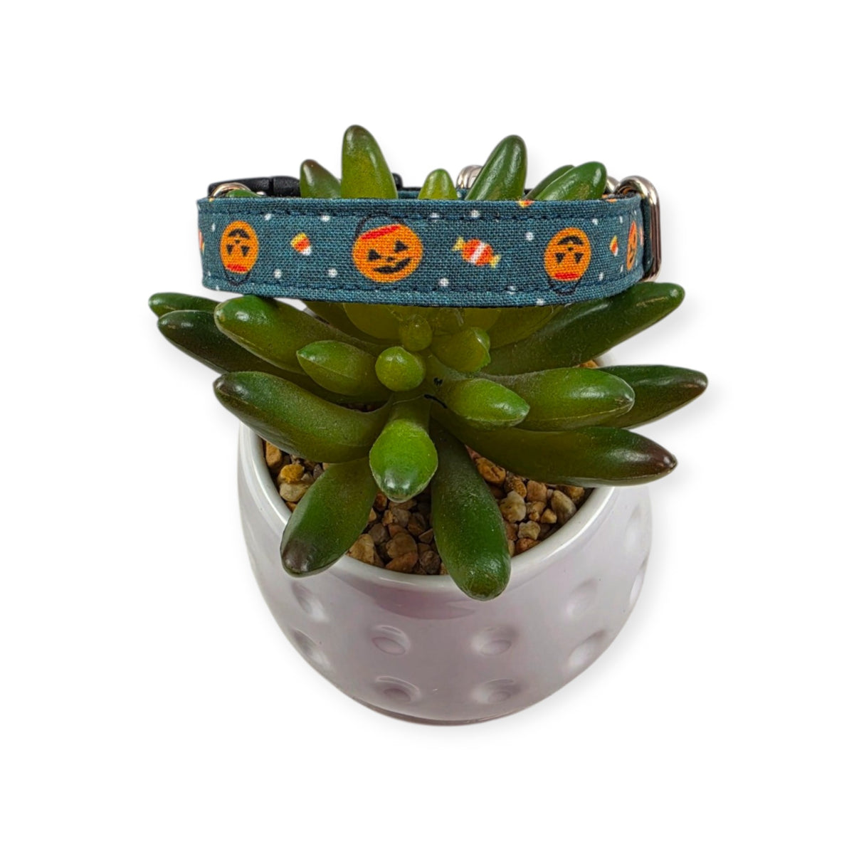 Halloween Buckets Dog Collar (Small)