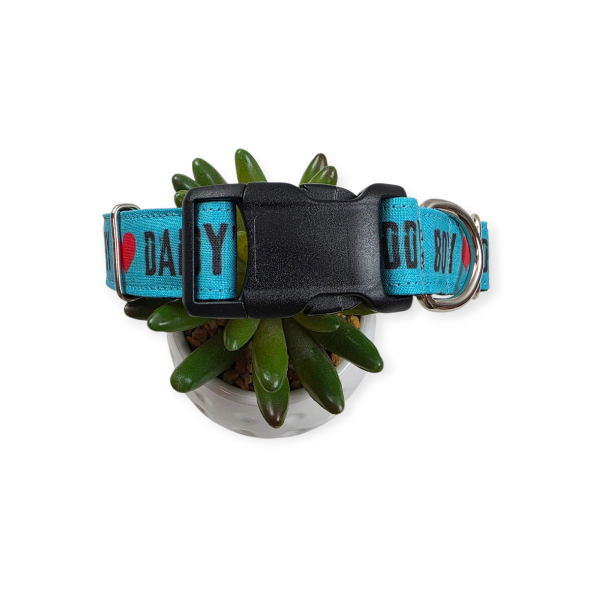 Daddy's Boy on Aqua Dog Collar (Large)