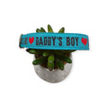 Daddy's Boy on Aqua Dog Collar (Large)