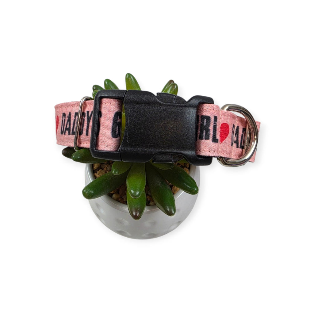 Daddy's Girl on Pink Dog Collar (Large)