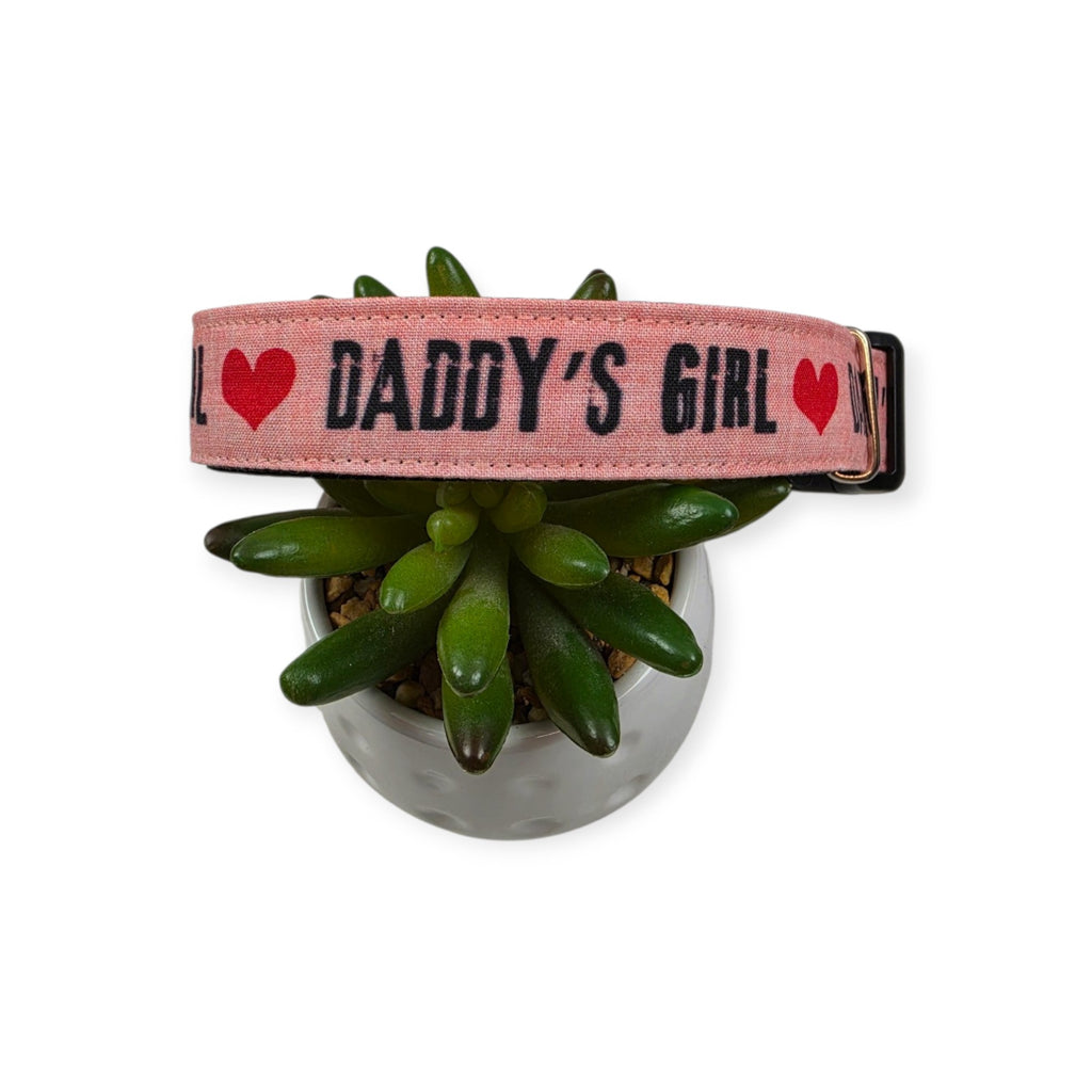 Daddy's Girl on Pink Dog Collar (Large)