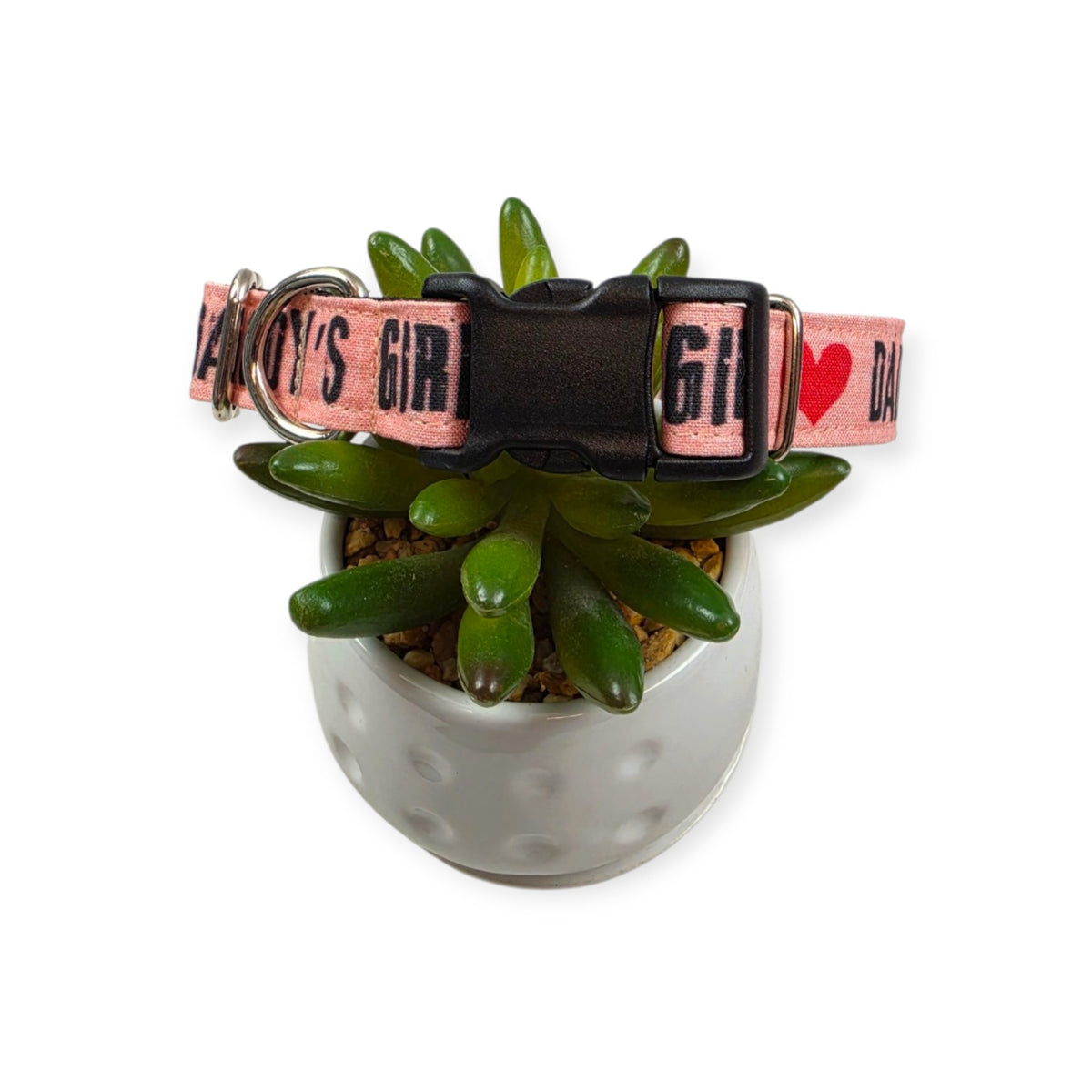 Daddy's Girl on Pink Dog Collar (Medium)