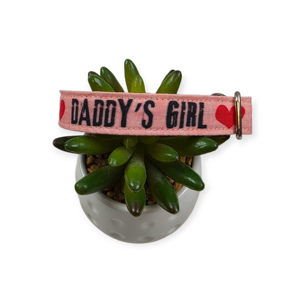 Daddy's Girl on Pink Dog Collar (Medium)
