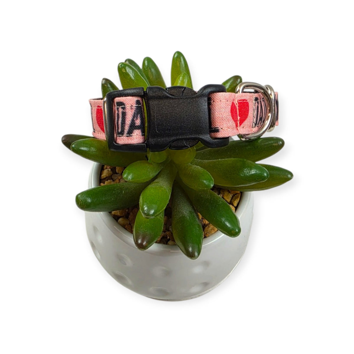 Daddy's Girl on Pink Dog Collar (Small)