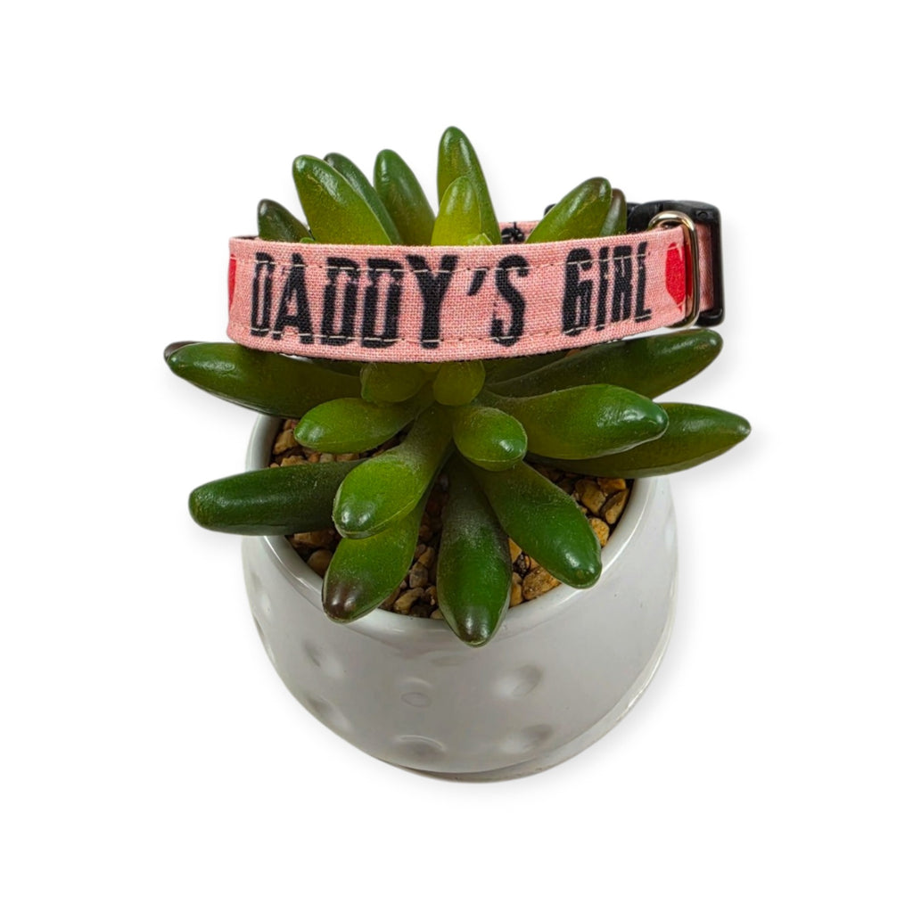 Daddy's Girl on Pink Dog Collar (Small)