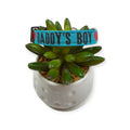 Daddy's Boy on Aqua Dog Collar (Small)