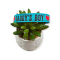 Daddy's Boy on Aqua Dog Collar (Medium)
