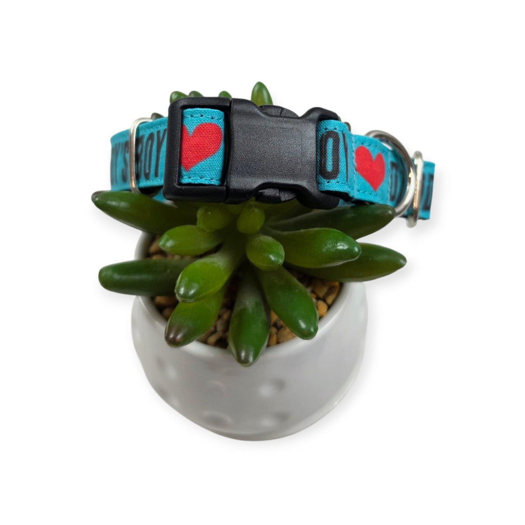 Daddy's Boy on Aqua Dog Collar (Medium)
