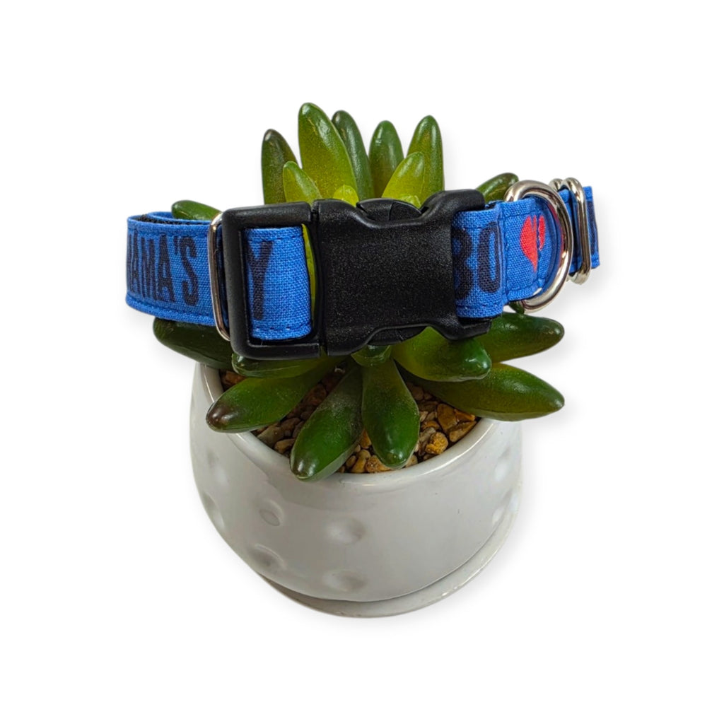 Mama's Boy on Blue Dog Collar (Medium)