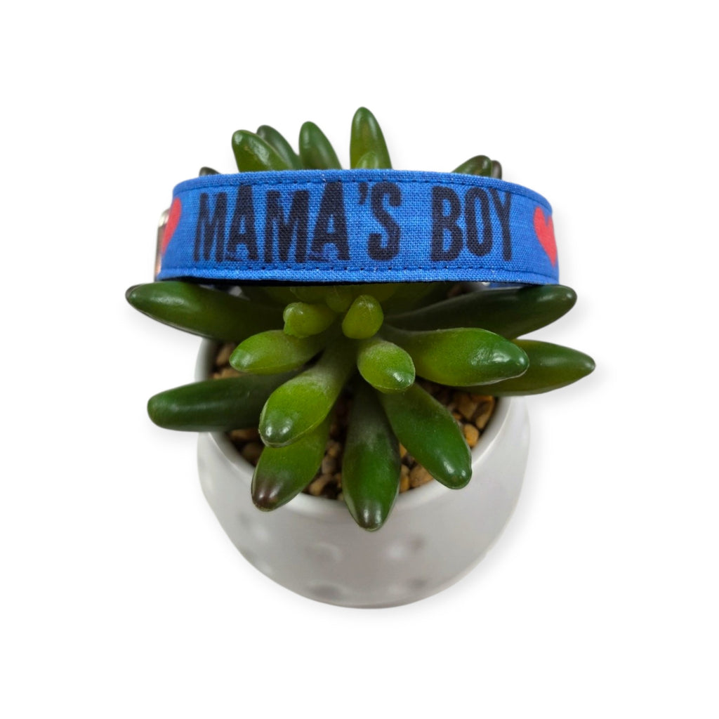 Mama's Boy on Blue Dog Collar (Medium)