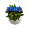 Mama's Boy on Blue Dog Collar (Medium)