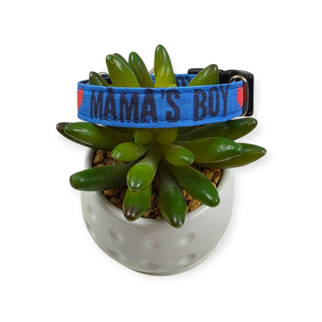 Mama's Boy on Blue Dog Collar (Small)