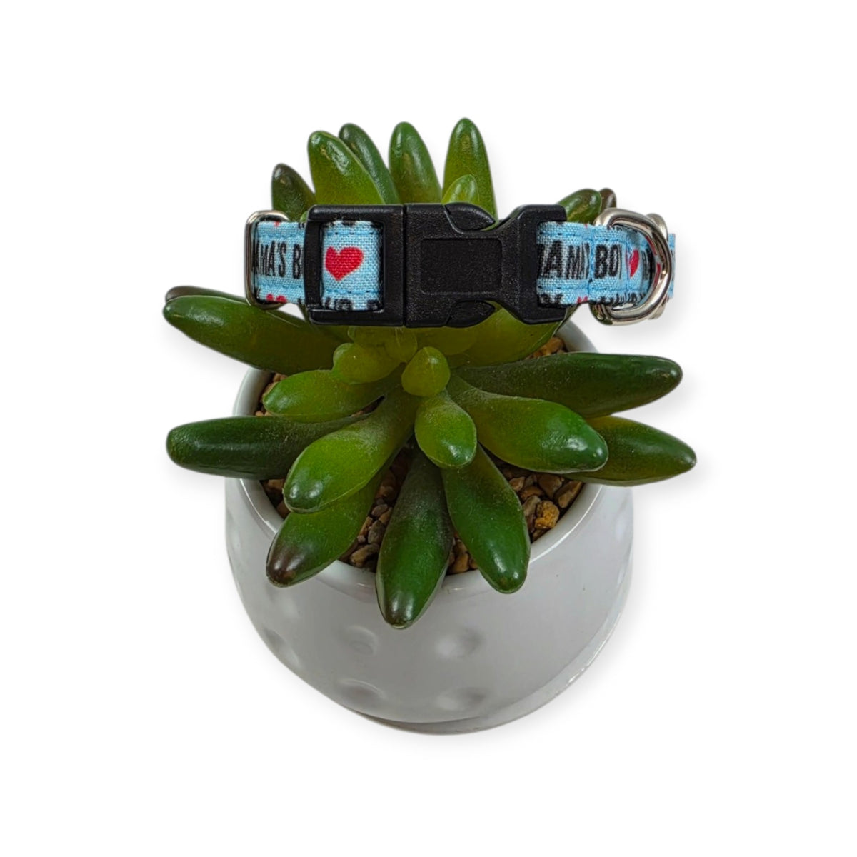 Mama's Boy Aqua Dog Collar (XX-Small)