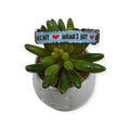 Mama's Boy Aqua Dog Collar (XX-Small)