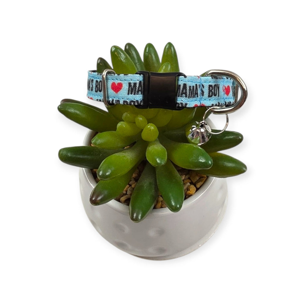 Mama's Boy on Aqua Kitty Collar (XX-Small)