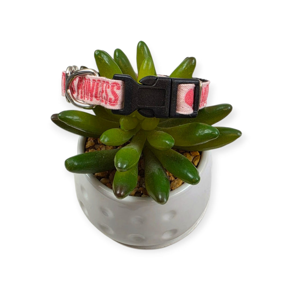 Mommy's Princess Dog Collar (XX-Small)