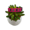 Skull & Crossbones on Pink Dog collar (Small)