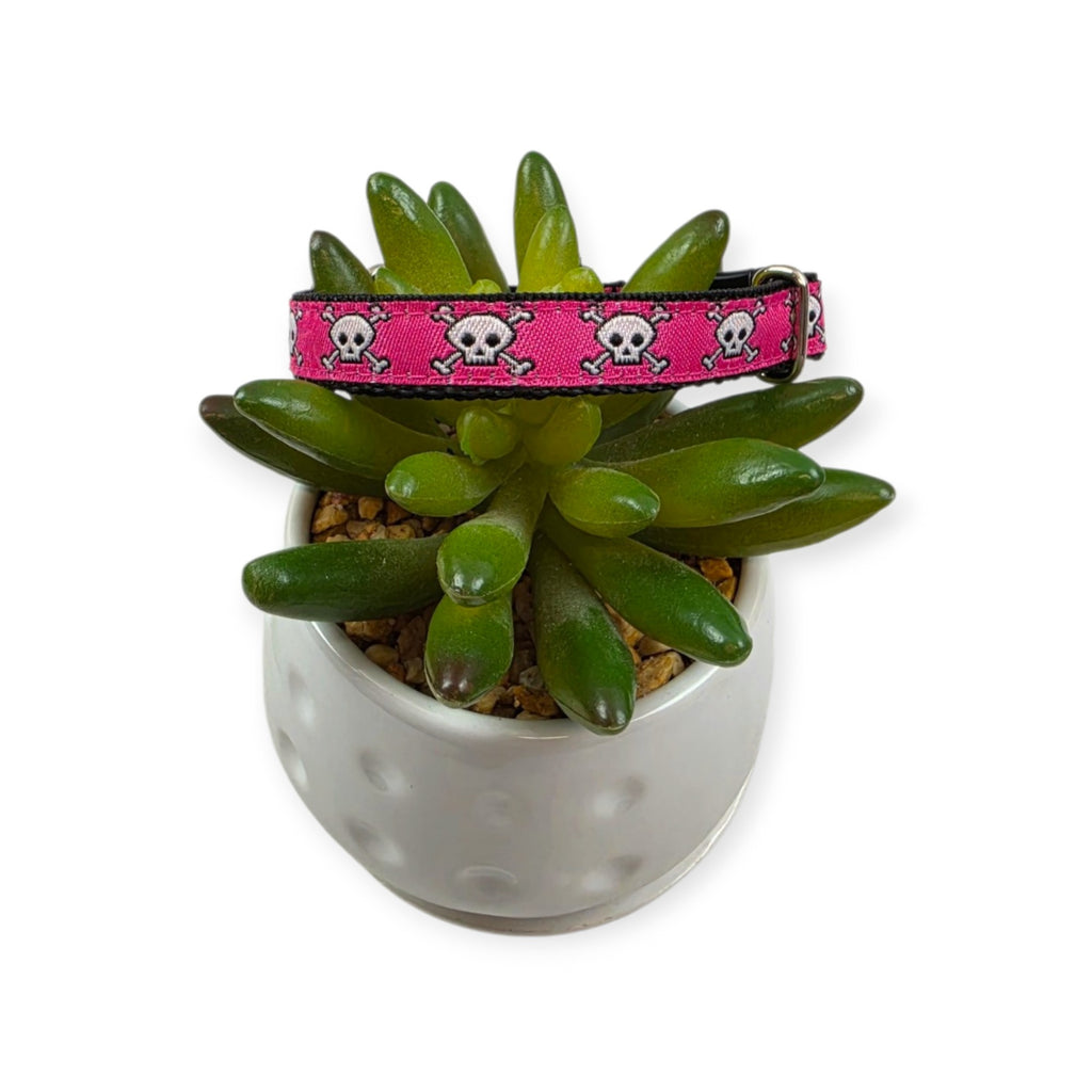 Skull & Crossbones on Pink Kitty Collar (XX-Small)