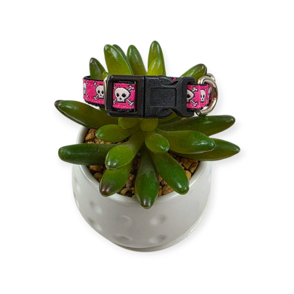 Skull & Crossbones on Pink Dog Collar (XX-Small)