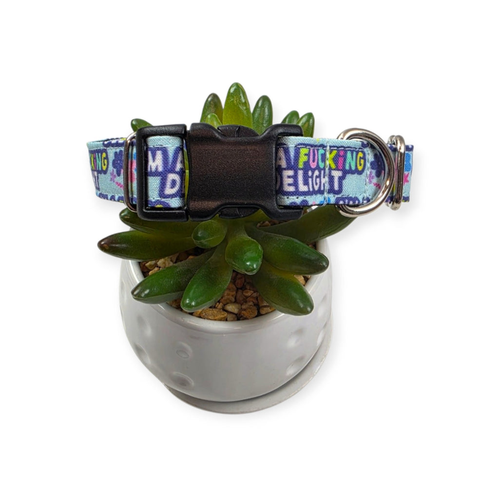 I'm a Delight Dog Collar (Medium)