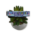 I'm a Delight Dog Collar (Medium)