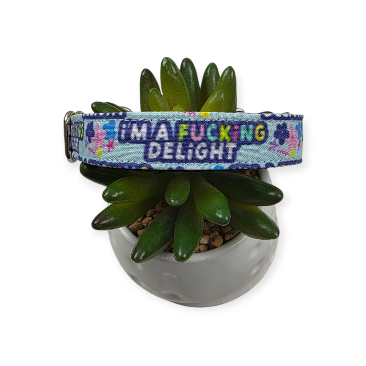 I'm a Delight Dog Collar (Medium)