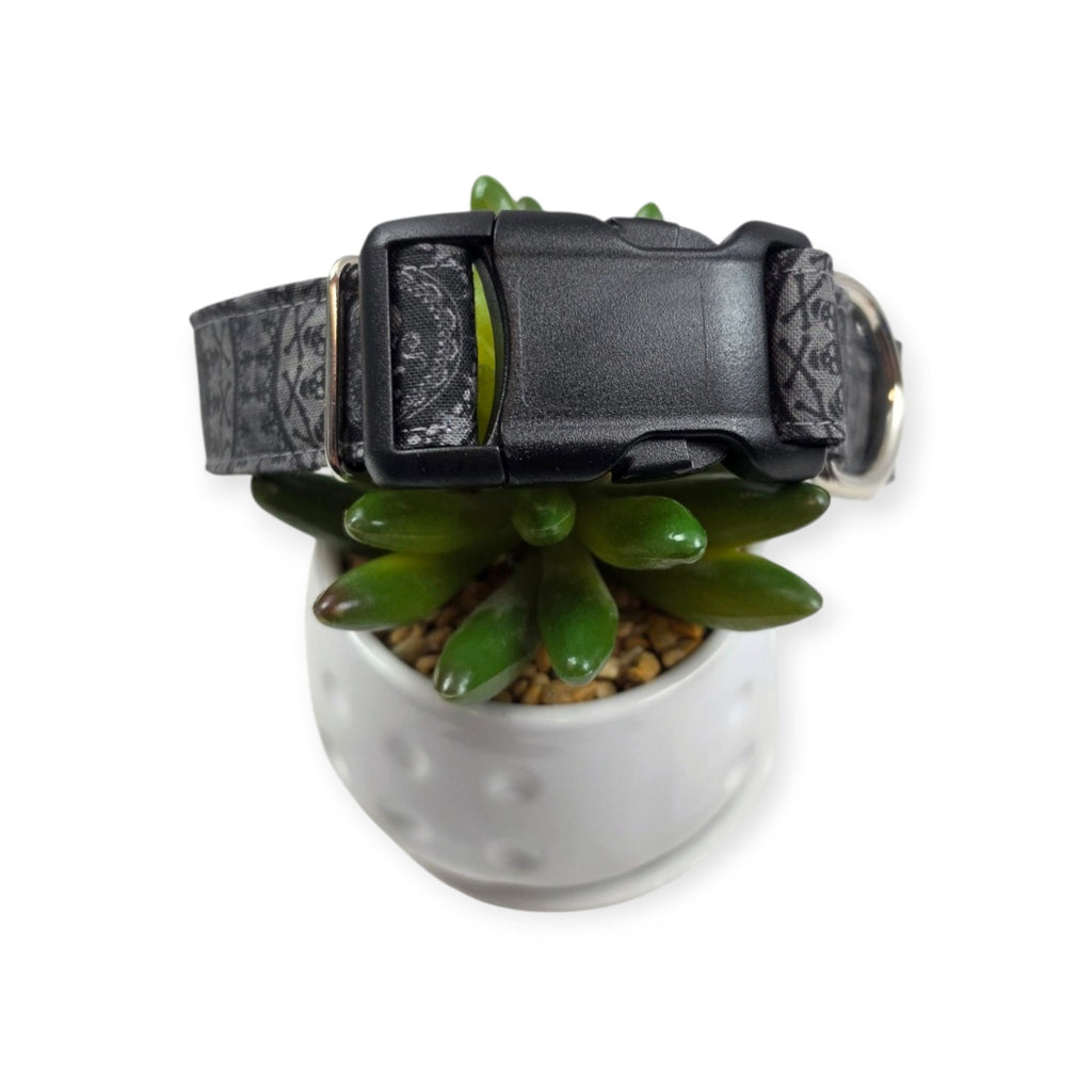 Jolly Roger Dog Collar (Large)