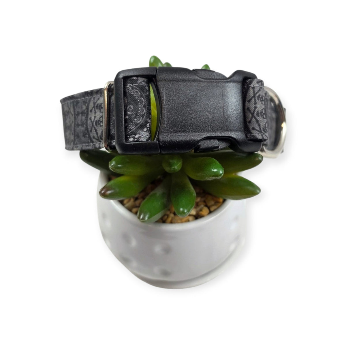 Jolly Roger Dog Collar (Large)